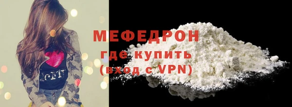 индика Долгопрудный