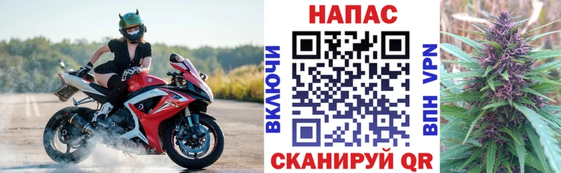 Конопля сатива  купить наркотики цена  Уржум 